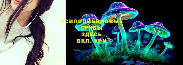 МДПВ Медвежьегорск