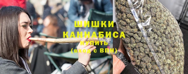мдпв Медногорск