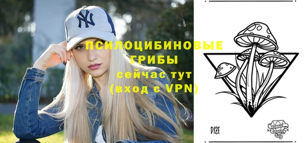 Альфа ПВП Михайлов