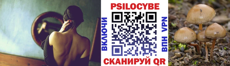 Псилоцибиновые грибы Magic Shrooms  Новоуральск 